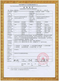 檢驗(yàn)報(bào)告