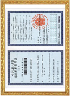 組織機(jī)構(gòu)代碼證